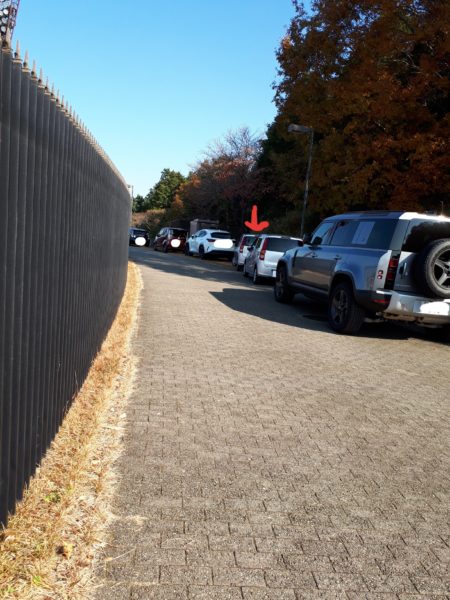 大相撲の巡業に行ってきた(圧迫骨折療養中のぷこ母と)