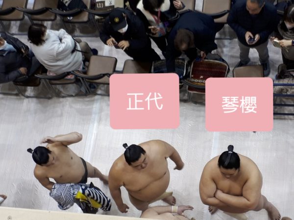 大相撲の巡業に行ってきた(圧迫骨折療養中のぷこ母と)