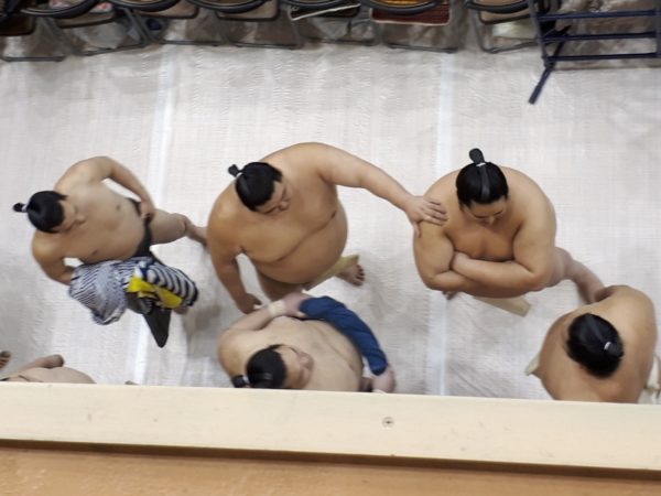 大相撲の巡業に行ってきた(圧迫骨折療養中のぷこ母と)