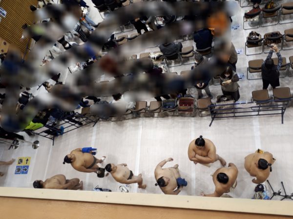 大相撲の巡業に行ってきた(圧迫骨折療養中のぷこ母と)