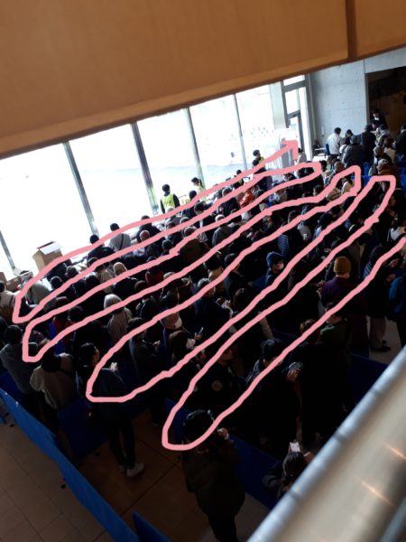 大相撲の巡業に行ってきた(圧迫骨折療養中のぷこ母と)