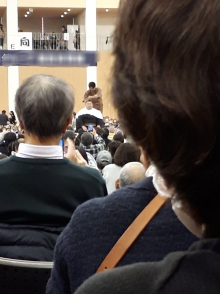 大相撲の巡業に行ってきた(圧迫骨折療養中のぷこ母と)