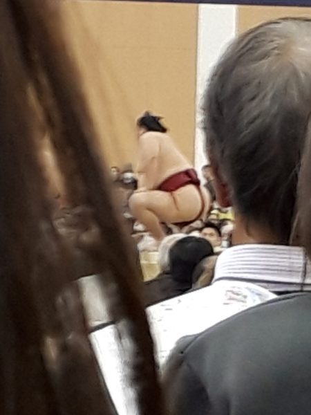 大相撲の巡業に行ってきた(圧迫骨折療養中のぷこ母と)