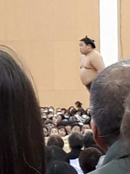 大相撲の巡業に行ってきた(圧迫骨折療養中のぷこ母と)