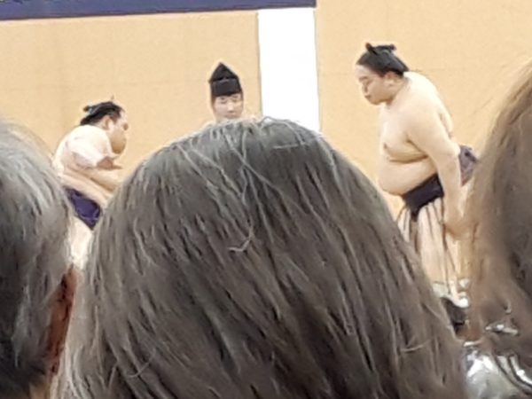 大相撲の巡業に行ってきた(圧迫骨折療養中のぷこ母と)