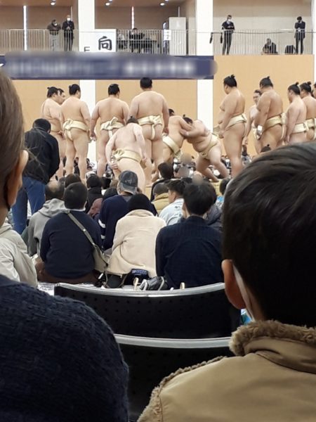 大相撲の巡業に行ってきた(圧迫骨折療養中のぷこ母と)