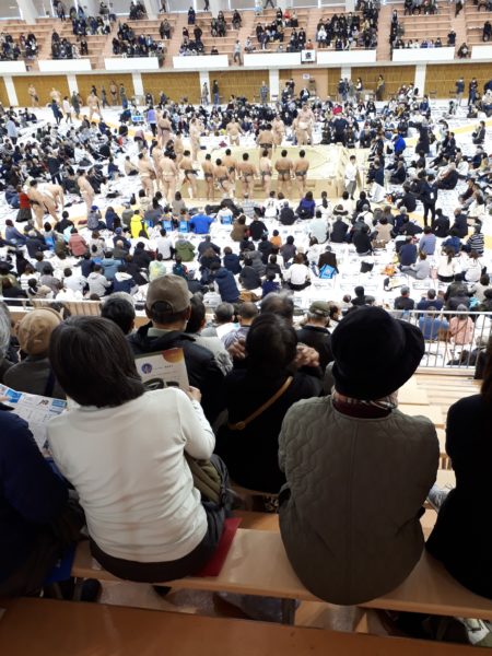 大相撲の巡業に行ってきた(圧迫骨折療養中のぷこ母と)