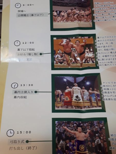 大相撲の巡業に行ってきた(圧迫骨折療養中のぷこ母と)