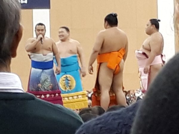 大相撲の巡業に行ってきた(圧迫骨折療養中のぷこ母と)