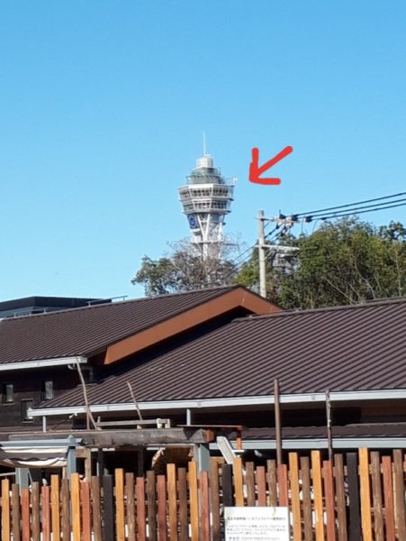 旦那と大阪デート(てんしばクリスマスマーケット&道頓堀等々)