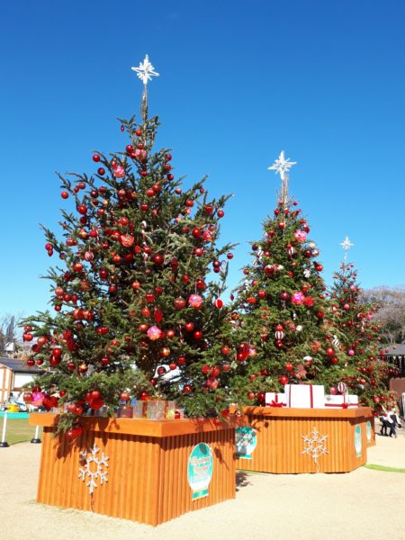 旦那と大阪デート(てんしばクリスマスマーケット&道頓堀等々)