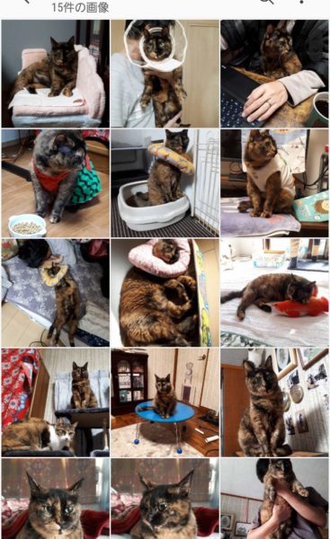 旦那と大阪デート(てんしばクリスマスマーケット&道頓堀等々)