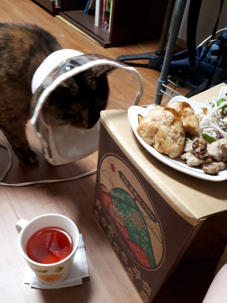 (それなりの)努力の賜物？コレステロール値下がった