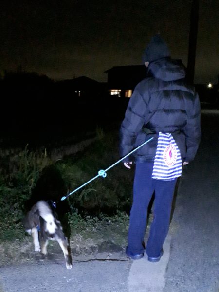 本厄の旦那、今年の目標は“生きる”でした 2025年振り返り