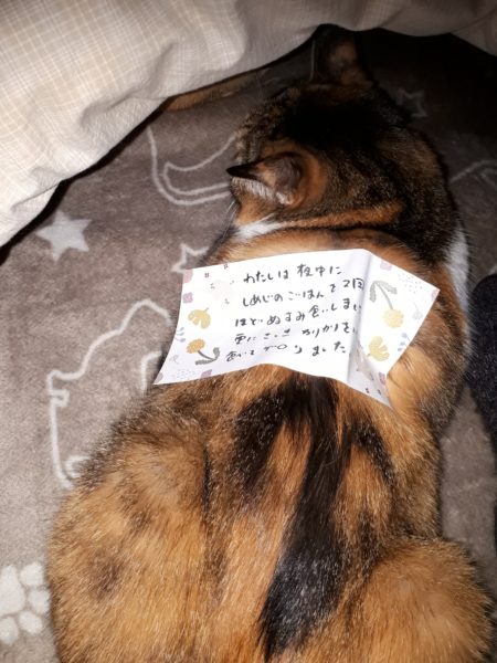 本厄の旦那、今年の目標は“生きる”でした 2025年振り返り