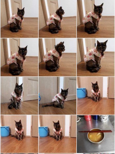 本厄の旦那、今年の目標は“生きる”でした 2025年振り返り