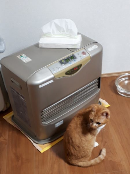 本厄の旦那、今年の目標は“生きる”でした 2025年振り返り