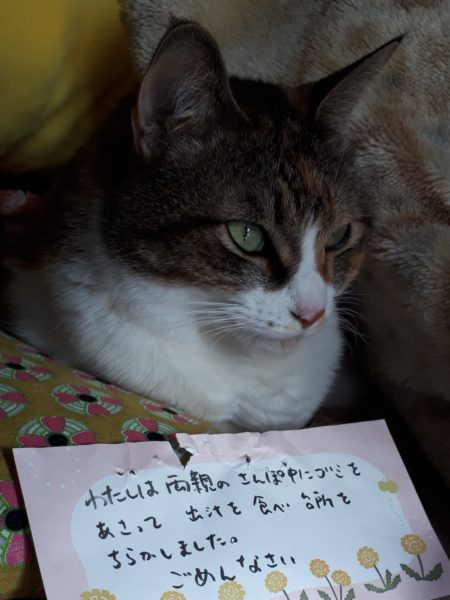 本厄の旦那、今年の目標は“生きる”でした 2025年振り返り