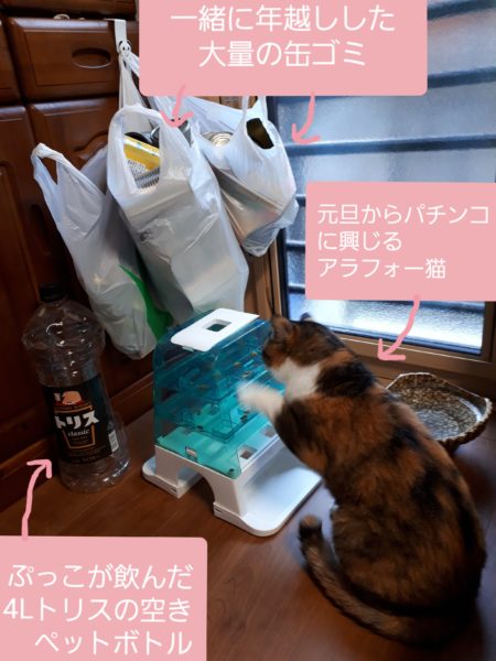 年末年始　何もしない　寝正月　猫　昼寝　おせち　年越しそば