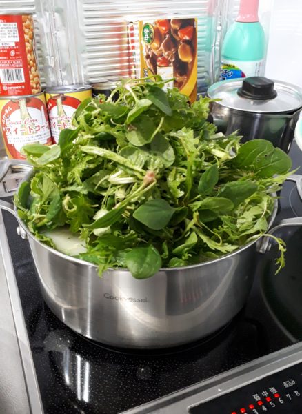 枇杷(ビワ)の花と間引き菜の収穫祭