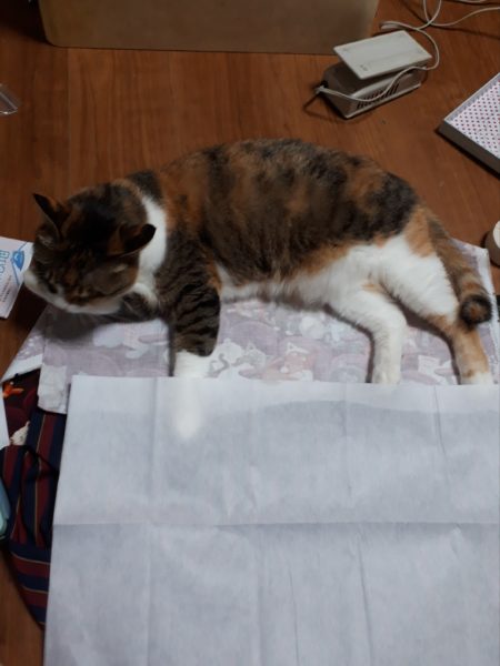 8ヶ月かかってようやく完成したエコバッグ(デカイ)　猫　シュール柄　簡単　頑丈