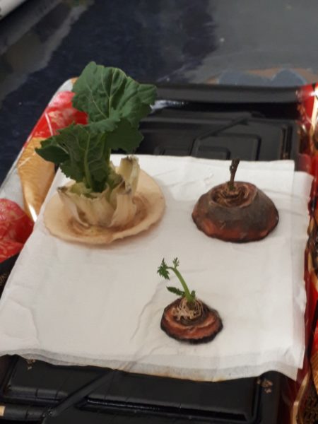 自宅で転倒→圧迫骨折から約3ヶ月経過した、ぷこ母