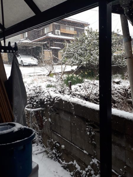 冬の穏やかな休日【久しぶりの夫婦デートと雪の日曜日】