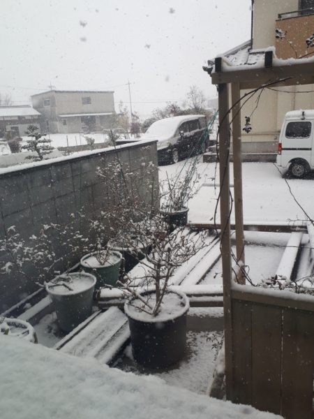 冬の穏やかな休日【久しぶりの夫婦デートと雪の日曜日】