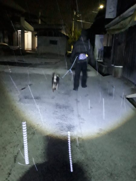 冬の穏やかな休日【久しぶりの夫婦デートと雪の日曜日】