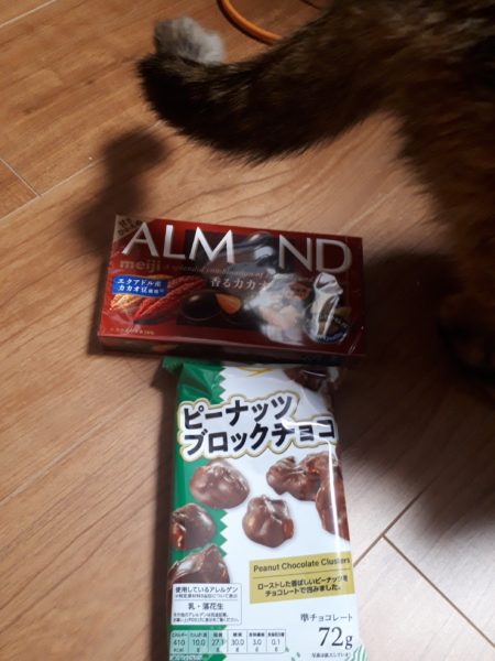 冬の穏やかな休日【久しぶりの夫婦デートと雪の日曜日】