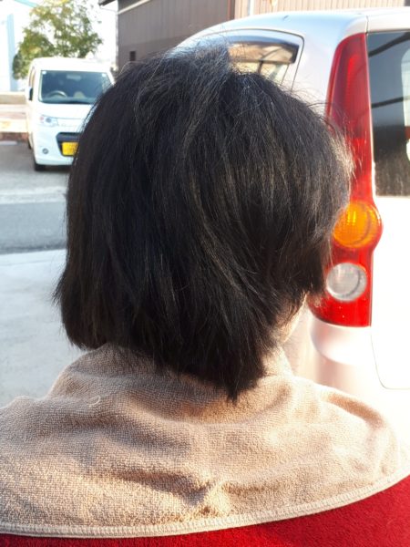 薔薇と旦那の頭の、冬剪定 バラ 2月 セルフカット 散髪 適当