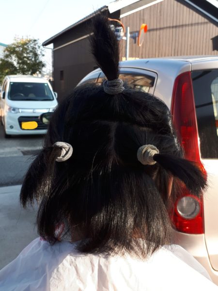 薔薇と旦那の頭の、冬剪定 バラ 2月 セルフカット 散髪 適当