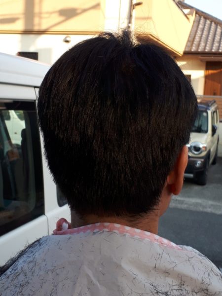 薔薇と旦那の頭の、冬剪定 バラ 2月 セルフカット 散髪 適当