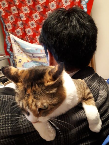 薔薇と旦那の頭の、冬剪定 バラ 2月 セルフカット 散髪 適当