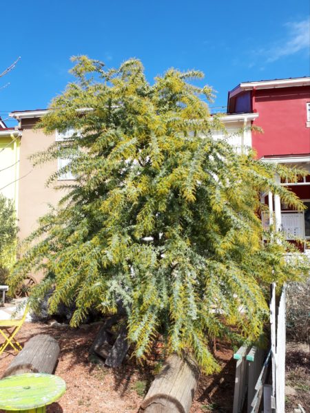 後厄のお参りと、久しぶりの義実家と、念願のザッパ村。