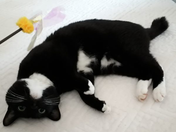 後厄のお参りと、久しぶりの義実家と、念願のザッパ村。