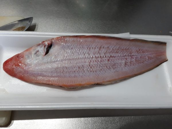 梅の花と海を見に。久しぶりの3人でドライブ。たつの市三津　綾部山梅林　世界の梅公園