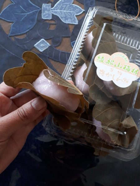 梅の花と海を見に。久しぶりの3人でドライブ。たつの市三津　綾部山梅林　世界の梅公園