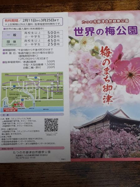 梅の花と海を見に。久しぶりの3人でドライブ。たつの市三津　綾部山梅林　世界の梅公園