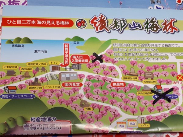 梅の花と海を見に。久しぶりの3人でドライブ。たつの市三津　綾部山梅林　世界の梅公園