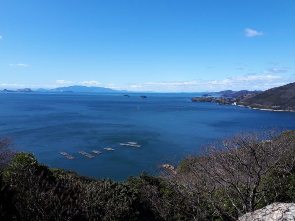 梅の花と海を見に。久しぶりの3人でドライブ。たつの市三津　綾部山梅林　世界の梅公園