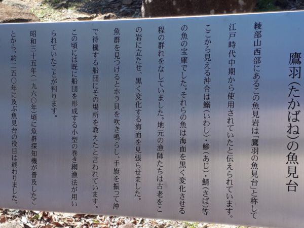 梅の花と海を見に。久しぶりの3人でドライブ。たつの市三津　綾部山梅林　世界の梅公園