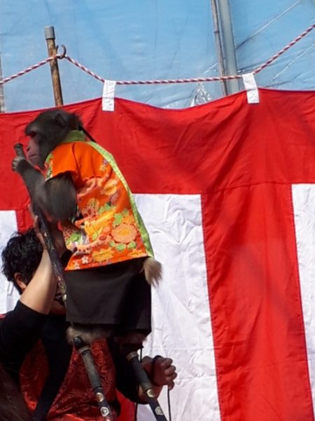 梅の花と海を見に。久しぶりの3人でドライブ。たつの市三津　綾部山梅林　世界の梅公園