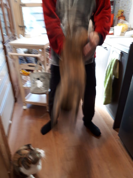 猫と一時も離れたくない？ポケット付エプロン買ってみた