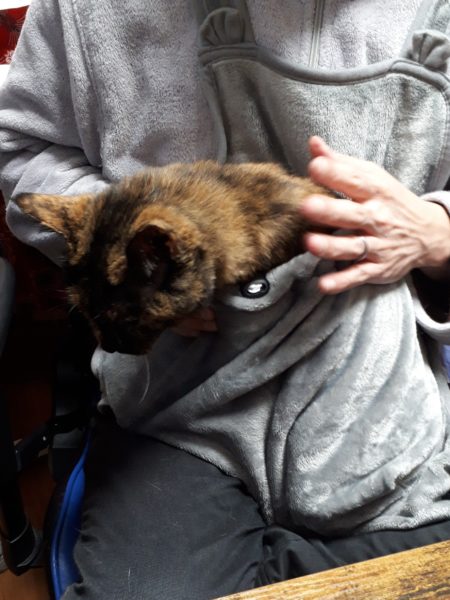 猫と一時も離れたくない？ポケット付エプロン買ってみた