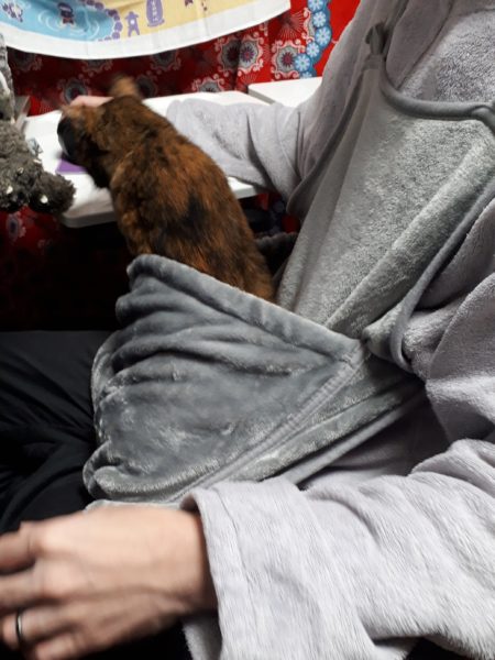 猫と一時も離れたくない？ポケット付エプロン買ってみた