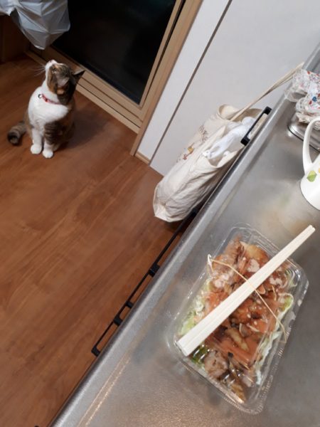 今年のお花見と、Googleフォトの水彩画風変換にハマる。